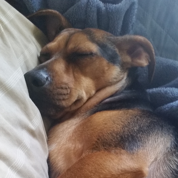 Meet your Posher, Joe - Picture 2 of 6